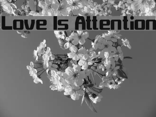 Love Is Attention Font examples