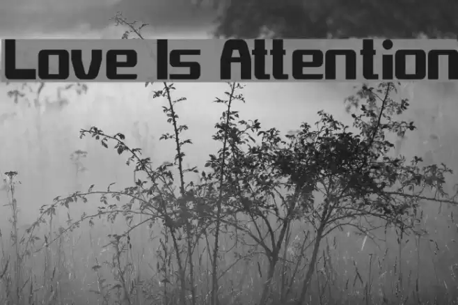 Love Is Attention Font examples