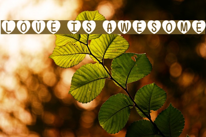 Love Is Awesome Font examples