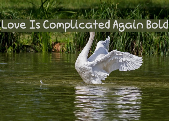 Love Is Complicated Again Bold Font examples