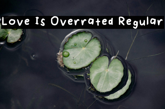 Love Is Overrated Regular Example 1
