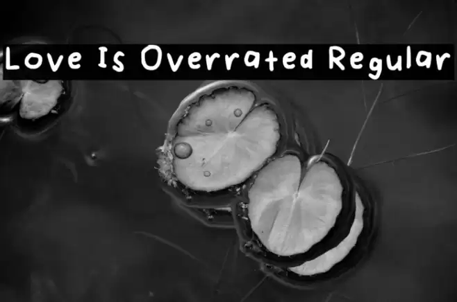 Love Is Overrated Regular Font examples