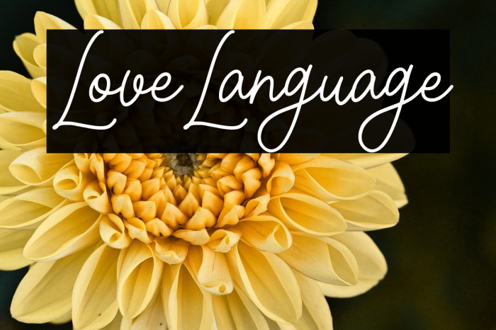 Love Language Example 1