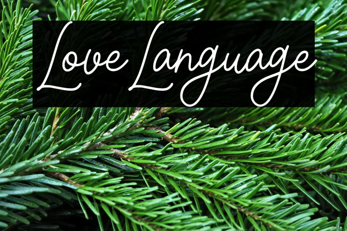 Love Language Example 3