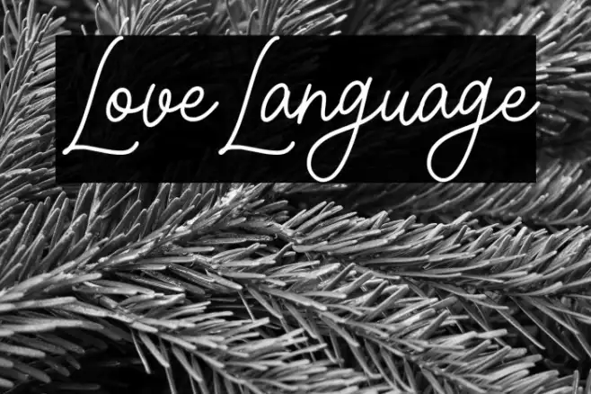 Love Language Example 3