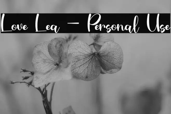 Love Lea - Personal Use Example 1