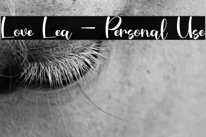 Love Lea - Personal Use Example 3