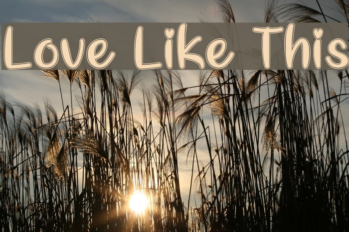 Love Like This フォント examples