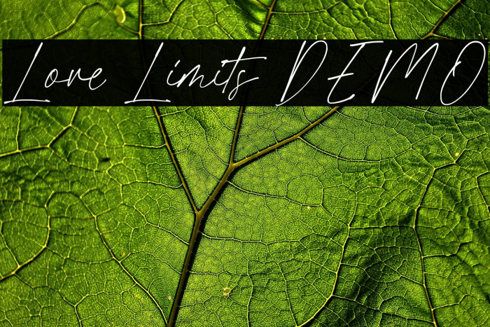 Love Limits DEMO Example 3