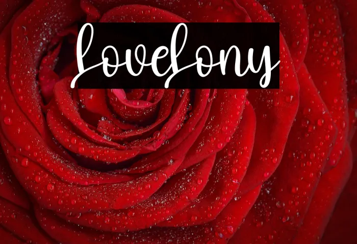 Love Lony Example 2
