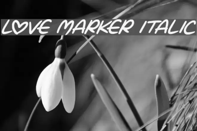 Love Marker Italic Font examples