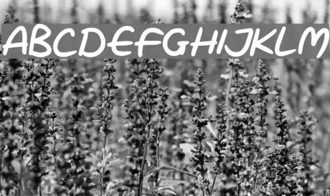 Love Marker Font examples