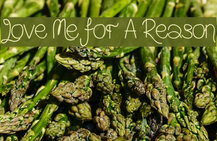 Love Me For A Reason Example 3