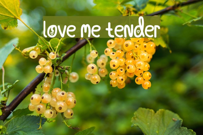 Love Me Tender Font examples
