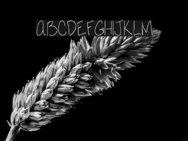 Love Moi Font examples