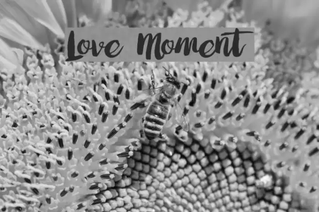 Love Moment Example 1
