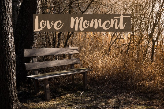 Love Moment Font examples