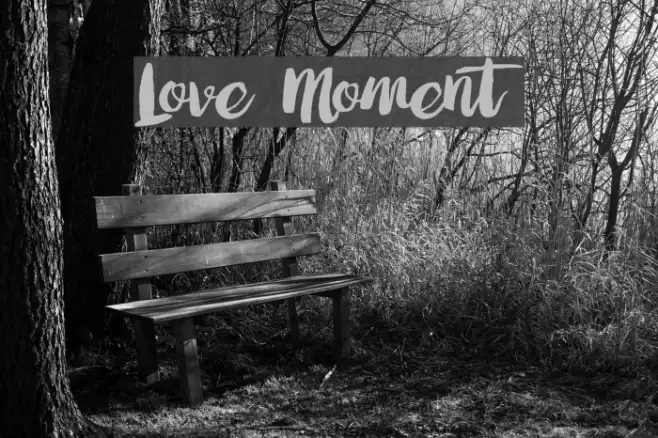 Love Moment Example 2