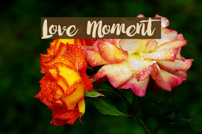 Love Moment Font examples