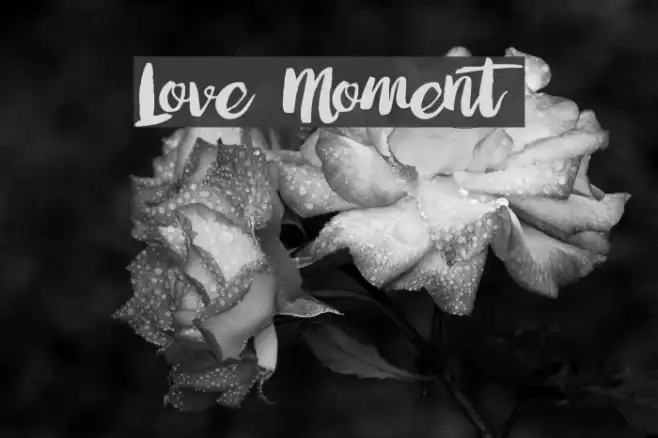 Love Moment Example 3