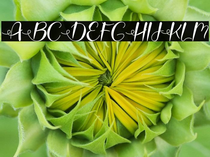 Love Moms Diamond Example 2