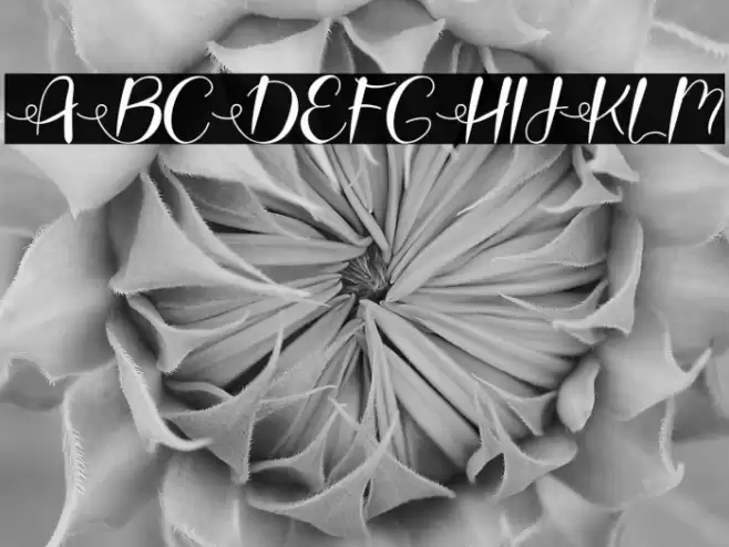 Love Moms Diamond Font examples