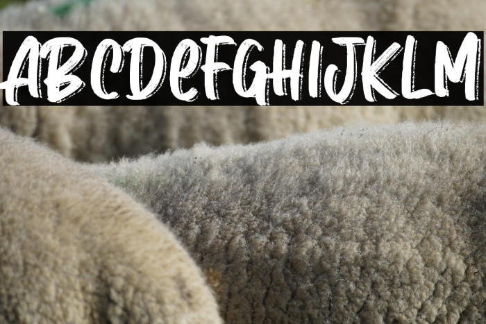 Love Monday Example 3