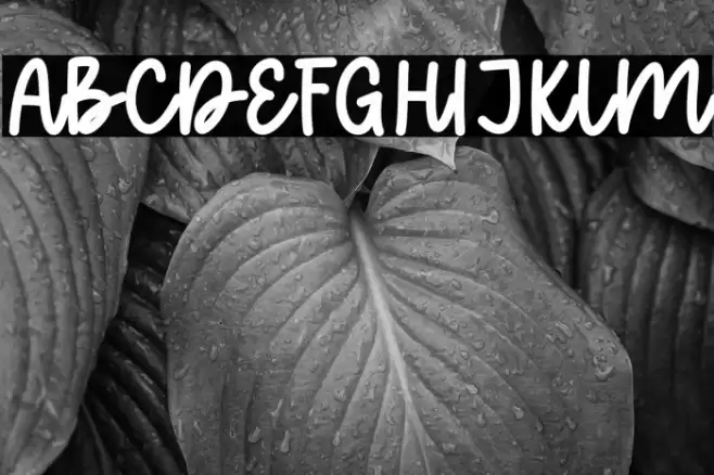 Love Notes Schriftart examples