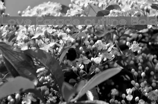 Love Parade outline Bold Font examples