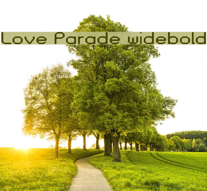 Love Parade widebold Font examples