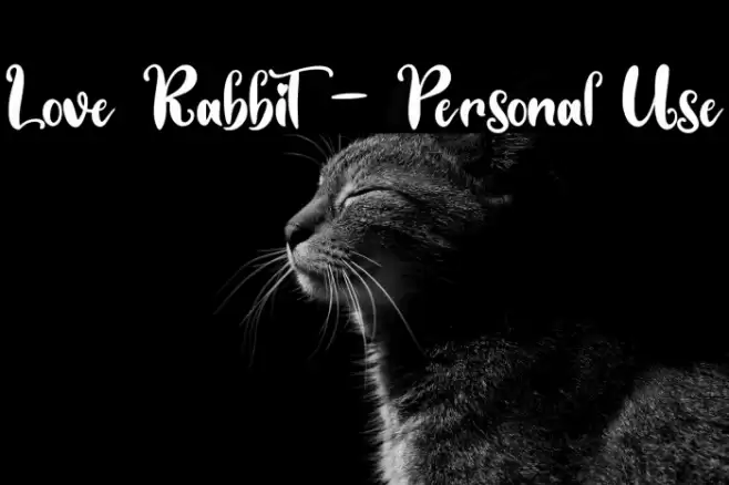 Love Rabbit - Personal Use Font examples