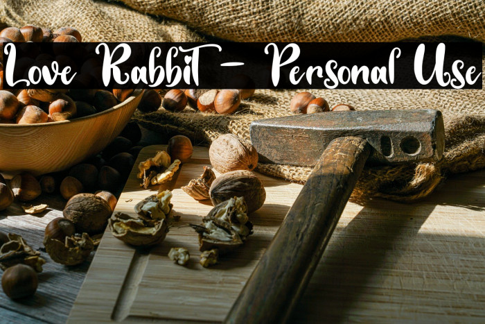 Love Rabbit - Personal Use Example 3
