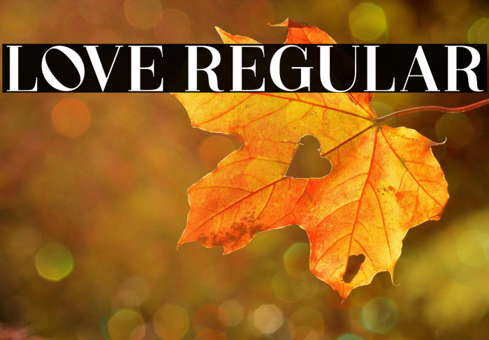 Love Regular Example 3