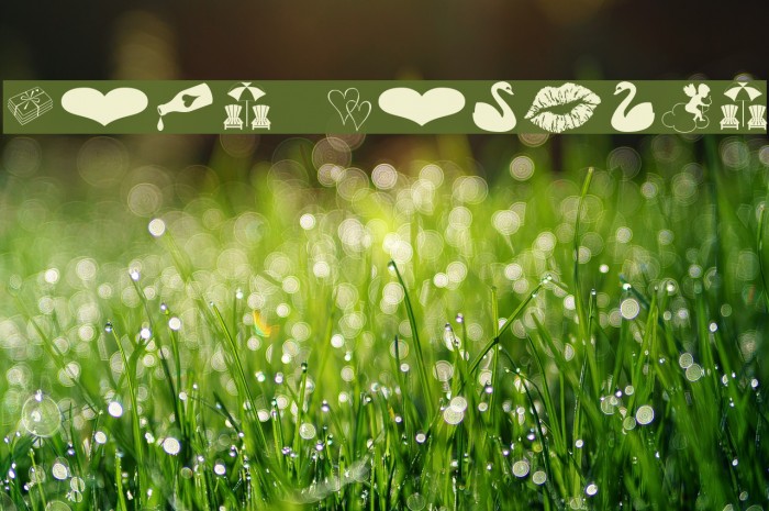 Love Romance Example 2