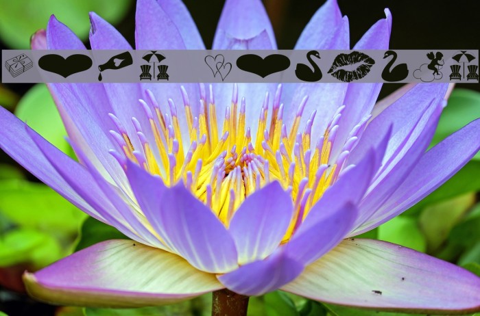 Love Romance Example 3