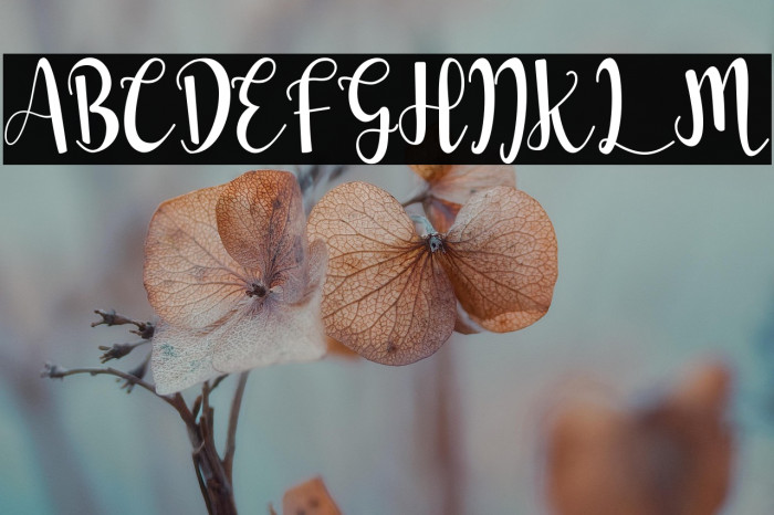 Love Roulette Example 1