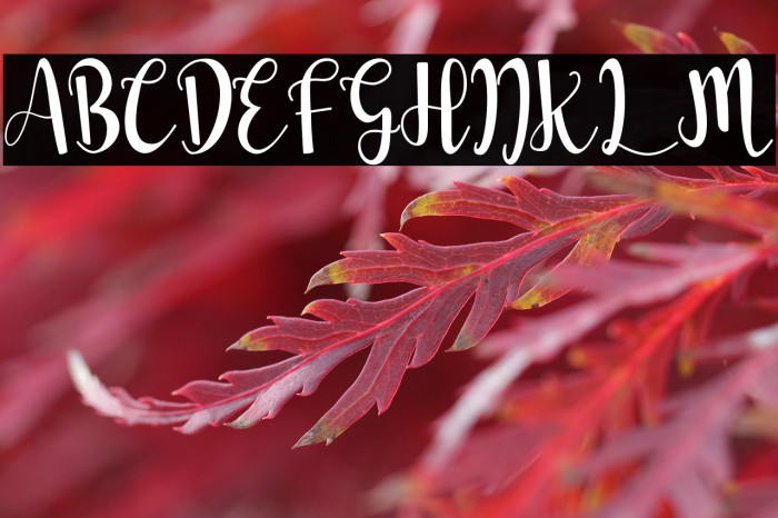 Love Roulette Example 2