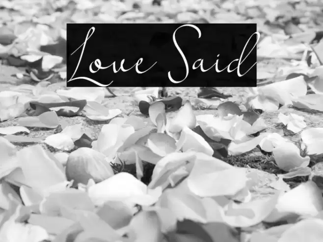 Love Said Font examples