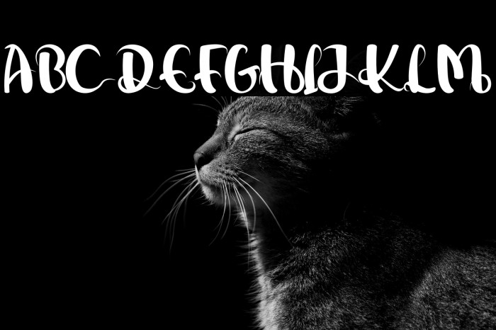 Love Secreet Example 3