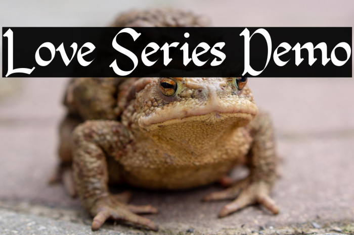 Love Series Demo Example 2