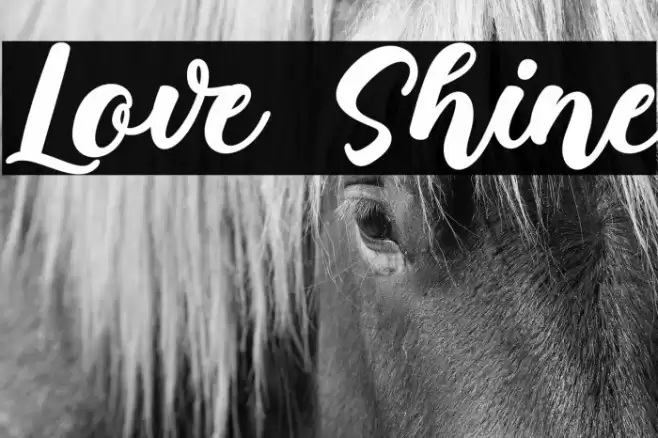 Love Shine Font examples
