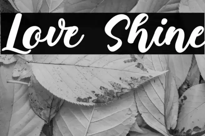Love Shine Font examples