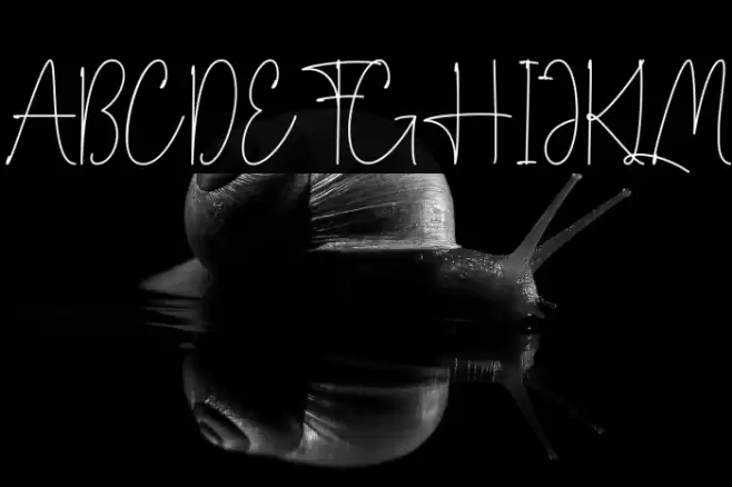 Love Signature Font examples