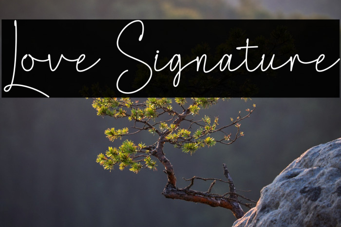 Love Signature Example 1