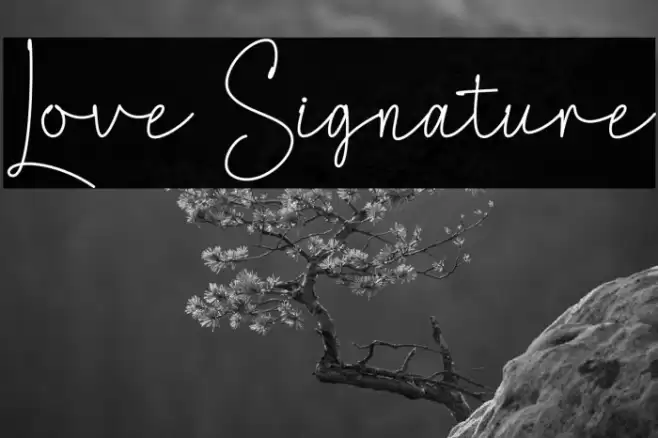 Love Signature Font examples