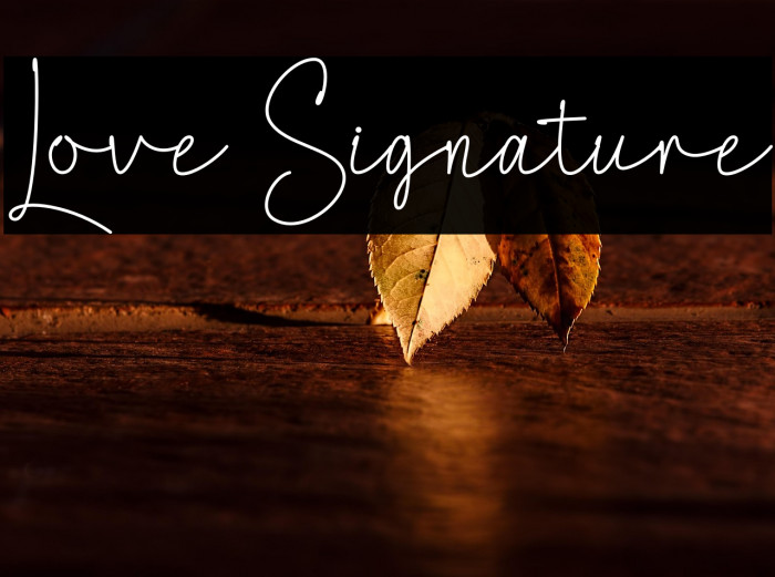 Love Signature Example 2