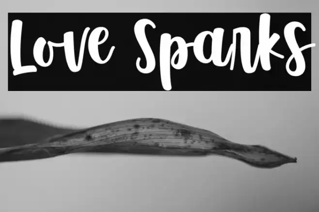 Love Sparks Font examples