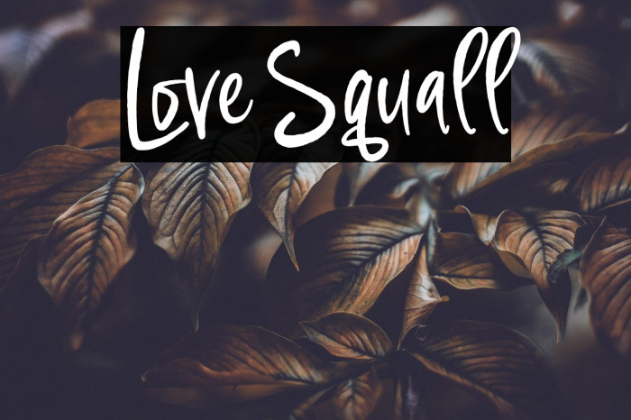 Love Squall Example 1