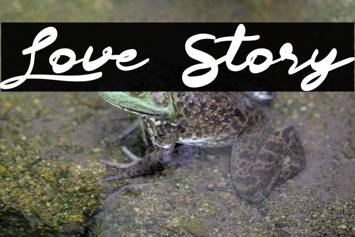 Love Story Example 3