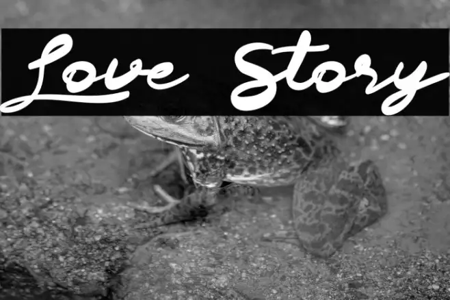 Love Story Example 3